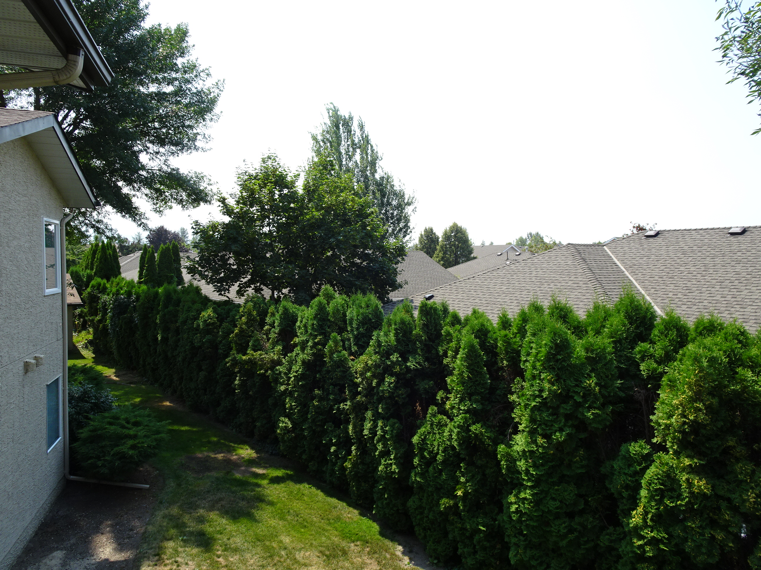 735 Cook Road, 208B